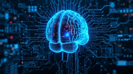 Brain Connectivity and Neural Networks with Digital Circuitry Visualization