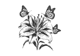 Stargazer Lily Flower Hand Drawn Natural Illustration Vector Isolated by AZ for Books, Arts, Design and Decoration Graphic Asset