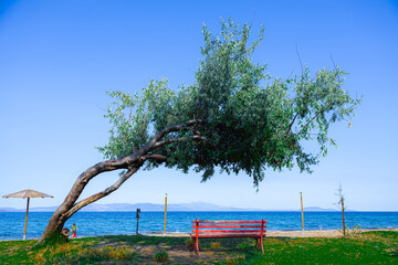 Nea Makri beach and sea Athens Greece