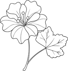 Geranium Flower Line Drawing Vector Art Design