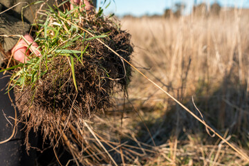 female  Farmer Inspects Soil Health and Pasture Roots on an Australian Farm. Highlighting Key Practices for a Sustainable Future of Regenerative Agriculture and Environmental Stewardship