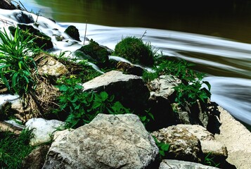 small waterfall in the forest