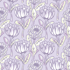 Protea flowers seamless pattern with on light violet background. Exotic floral wallpaper. Hand drawn style tileable texture for textile and wallpaper print.