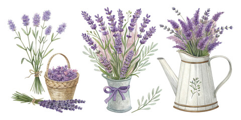 Lavender Watercolor Illustrations Bouquets in Basket, Vase, and Watering Can