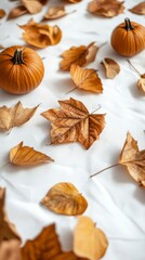 Autumnal Still Life Pumpkins and Dried Leaves on White Background