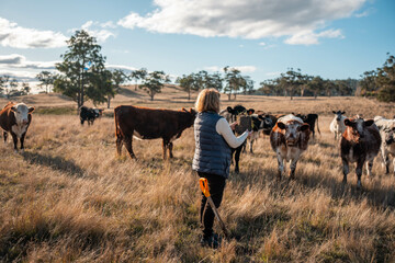 female  Farmer Inspects Soil Health and Pasture Roots on an Australian Farm. Highlighting Key Practices for a Sustainable Future of Regenerative Agriculture and Environmental Stewardship
