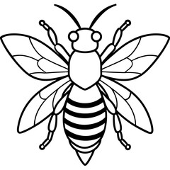 Geometric Bee Outline Vector