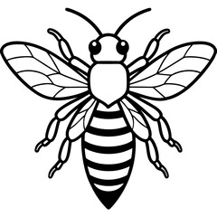 Geometric Bee Outline Vector
