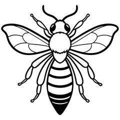 Geometric Bee Outline Vector