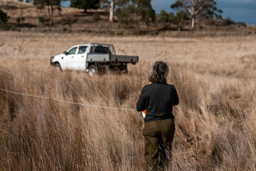 female farmer reeling a electric fence a farm putting up a steel post fence with high tensile wire in australia women working in agriculture farming in spring