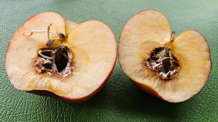 A red apple that is cut in half and has sprouts growing from the seeds in the middle, the middle is...
