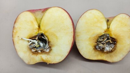 A red apple that is cut in half and has sprouts growing from the seeds in the middle, the middle is...