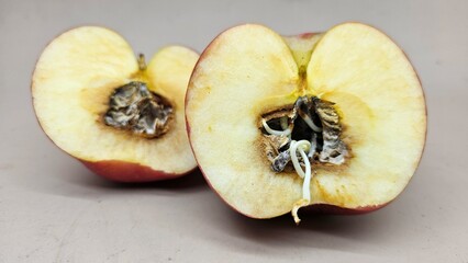 A red apple that is cut in half and has sprouts growing from the seeds in the middle, the middle is brownish black because it has been ripe for too long.