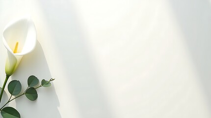Minimal ivory canvas background with floral accents on the left, soft shadows, and a clean center for text or branding.