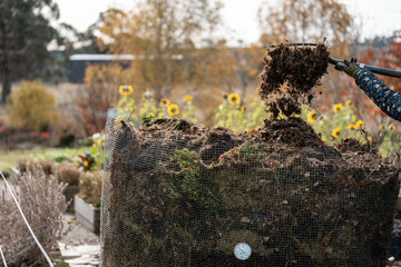 turning a compost pile in a community garden. compost full of microorganisms. sustainable...
