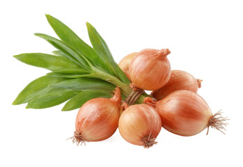 [Transparent Background PNG]Fresh Bunch of Small Onions with Green Leaves