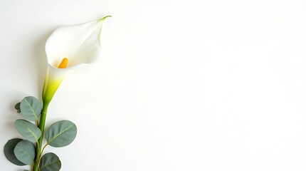 Minimal ivory canvas background with floral accents on the left, soft shadows, and a clean center for text or branding.