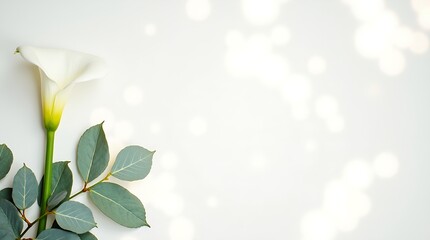 Minimal ivory canvas background with floral accents on the left, soft shadows, and a clean center for text or branding.