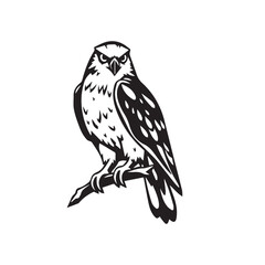 Vector art of a watchful owl perched on a branch, isolated on white background