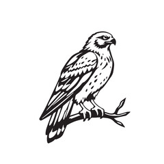 Vector art of a vigilant hawk perched on a branch, isolated on white background