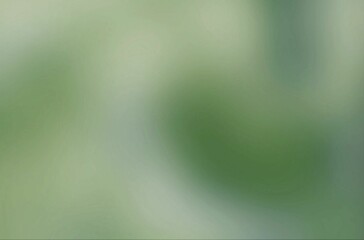 Abstract defocused light green background. Background of the rear view.
