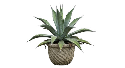 A styled bonsai tree with vibrant green leaves and bulbous roots sits in a gray pot against black.