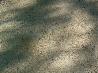A shadow on the concrete background.