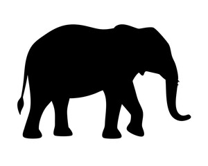 Fototapeta premium Elephant Silhouette Vector - Minimalist Black Wildlife Symbol Isolated on White Background