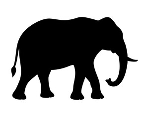 Fototapeta premium Elephant Silhouette Vector - Minimalist Black Wildlife Symbol Isolated on White Background