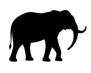 Fototapeta premium Elephant Silhouette Vector - Minimalist Black Wildlife Symbol Isolated on White Background