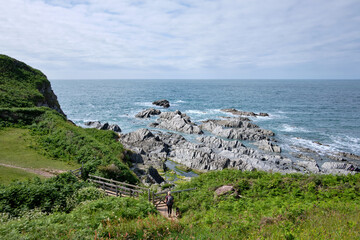 Hiker with dog approaching the gate above Pensport Rock on the path between Ilfracombe and Woolacombe, South West Coast Path, North Devon