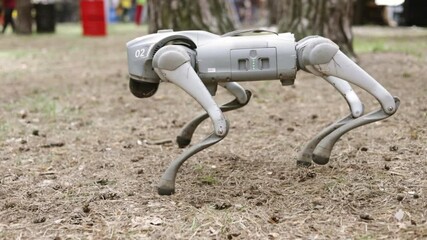 A robot dog with ukraine soldiers in a operation training exercise. - Powered by Adobe