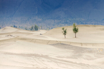 Serene desert landscape with sparse vegetation. The Katpana Desert in Skardu Valley,...