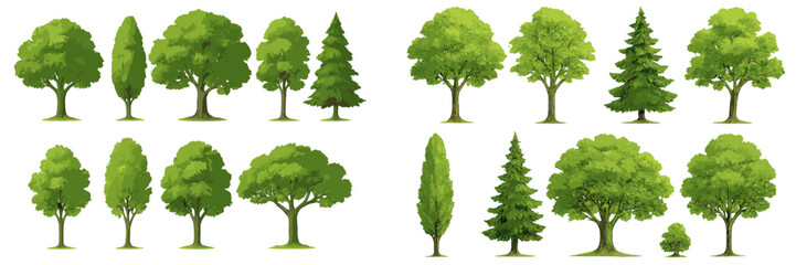 Various types of trees displayed in green shades and different heights in natural settings