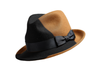 [Transparent Background PNG]Stylish Two-Tone Fedora Hat