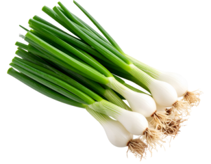  “Diagonal Cut Green Onion Bunch with Clean White Bulbs”