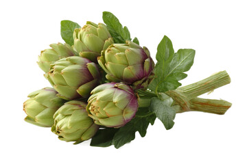 Obraz premium [Transparent Background PNG]Fresh Artichoke Bouquet Close-up