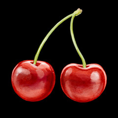 cherry illustration