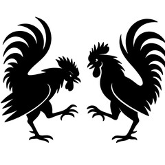 Obraz premium cockfighting isolated on white