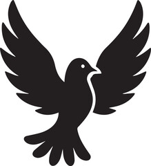 Fototapeta premium dove