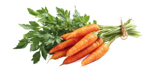[Transparent Background PNG]Fresh Bunch of Baby Carrots with Greens