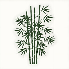 Obraz premium bamboo isolated on white background