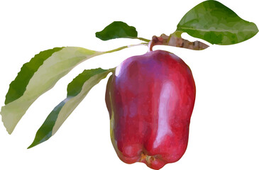 sweet and sour red fruit7