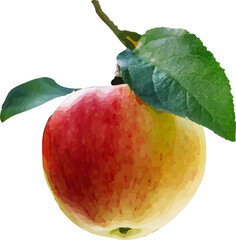 sweet and sour red fruit12