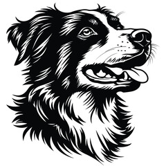 Obraz premium Black and white border collie dog head vector illustration