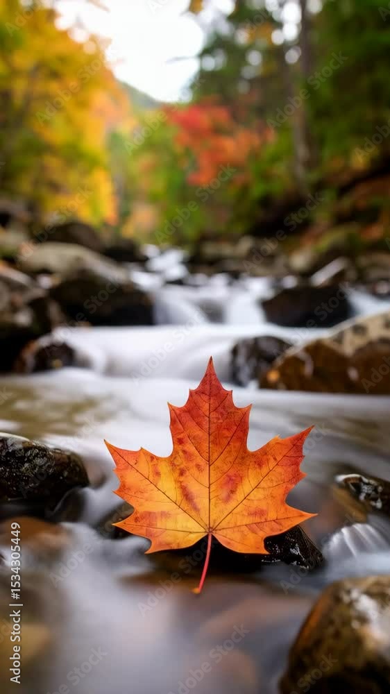 Poster vibrant autumn maple leaf resting on rocks amidst a blurred stream flowing through colorful fall fol