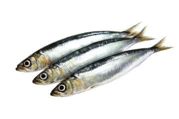 Fototapeta premium [Transparent Background PNG]Fresh Sardines Arranged Beautifully on White Background