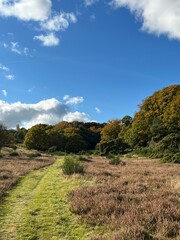 path in the mountains