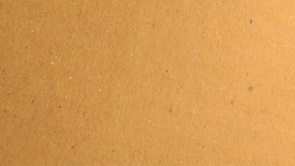 whitish cardboard paper texture background, Cardboard Texture. Paper Background for Design 