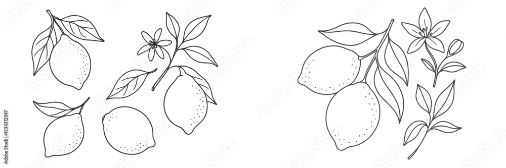 Poster lemon illustrations featuring various lemon branches and leaves in a flat vector style for design pu